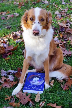 Celyn Kendrick's English Shepherd reading Green Hills and Dragon Tales